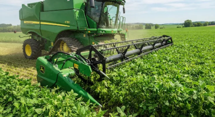 Agro-industrie : miser sur la production locale