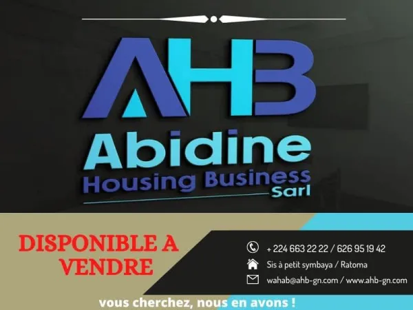 Abidine Housing Business